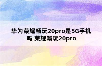 华为荣耀畅玩20pro是5G手机吗 荣耀畅玩20pro